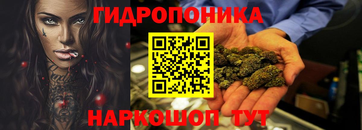 Конопля гибрид Лангепас